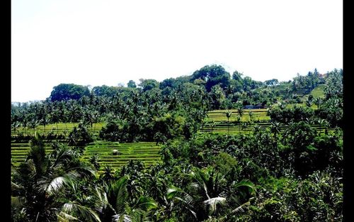 Phong trào Toàn dân bảo vệ An ninh Tổ quốc tại Cần Thơ ngày càng đi vào chiều sâu và lan toả -0
